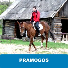 Pramogų slėnis. Lankai, dažasvydis, zipline